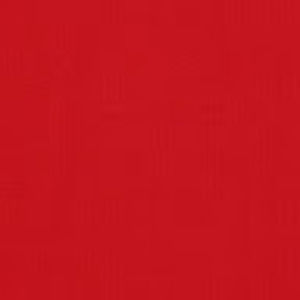 Meet your Posher, Robyn